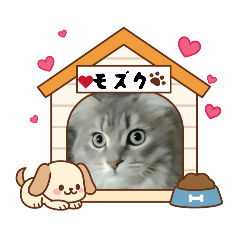 kiinana_20260426140827