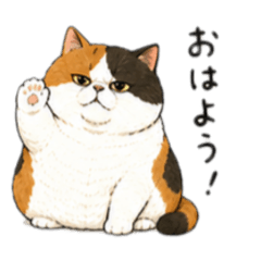 mmtn8318_20260426141945