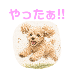 MomoRoy_20260426161149