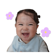 shimfam_20260426141816