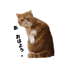 Tsugu_20260426161659