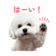 funun_20260426161733