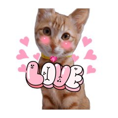 Miharu_20260426001600