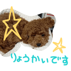 llop_7_20260426161430