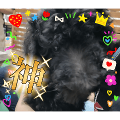 inanene_20260426194615