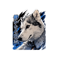 Misako_20260426194318