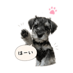 yukimai_20260426194823