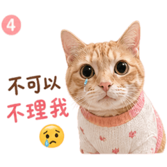 劉恩N的喵大寶貝：咕姬小暖男