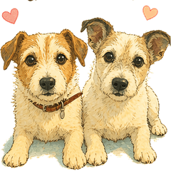 Rin and Hime - Jack Russell Terrier