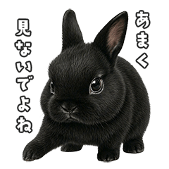 Too Aggressive Bunny