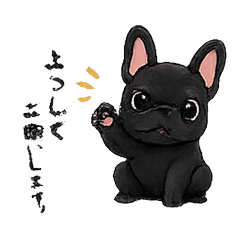 Kuro the French Bulldog