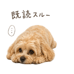 Lazy Pup Motivation Logged Out