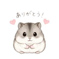 iruka_20260424235243