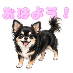 Chihuahua line Sticker
