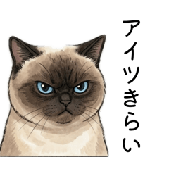 chanher10_20260425002220