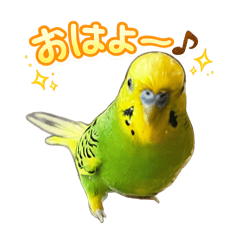 Torakichi of the Rising Red Sun_20260426