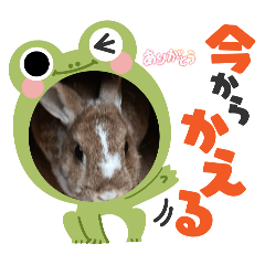 usapanz_20260426144834