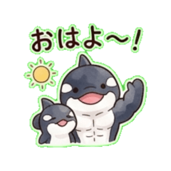 The Cute and Relaxed Muscle-Bound Orca