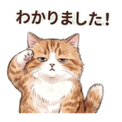 cha2mal_20260427022516