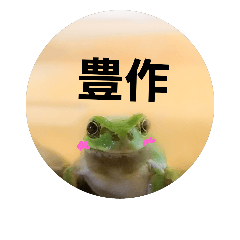Frogs and rice plants