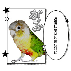 animalstamp_20260426150639