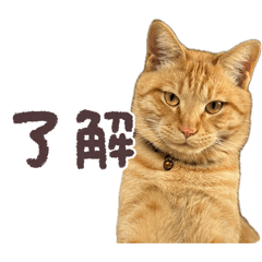 rakumaru_20260426153242