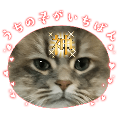 kiichi_20260426151839