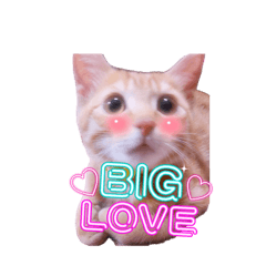 Miharu_20260426012621