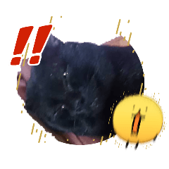 Teamo_20260426165101