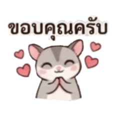 Audi._20260426165120