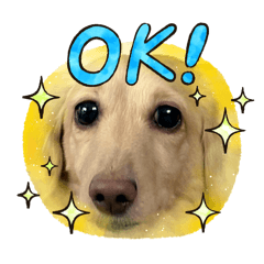 asuka_20260426203747