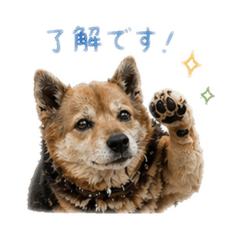 ayaka_20260426203732