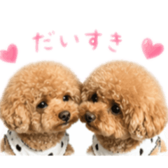 kakao_20260426204715