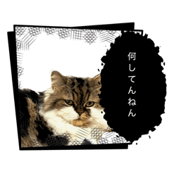 Renren_20260426155444