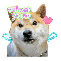 aimi_20260426155624