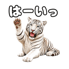 Donald_20260426160335