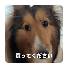 reo_20260426181445