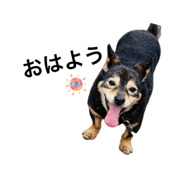 buran mon_20260426211951