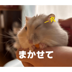 Suzuka_20260426160836