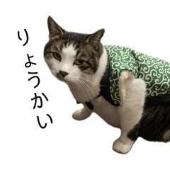 sumipita_20260426213227