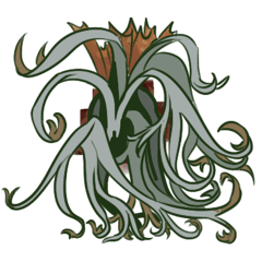 Platycerium veitchii & willinckii ENG.