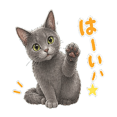 [Everyday Use] Noa the Russian Blue