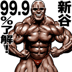 Shintani dedicated Muscle macho sticker