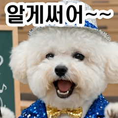 Bichon Seori Moves! Got it?