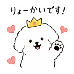 Fluffy white dog & crown friends