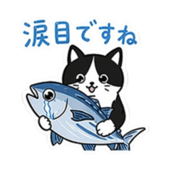 保護猫くぅちゃんの日常スタンプ