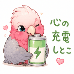Adorable Pink Cockatoo Stickers