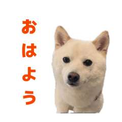 8TORA8_20260425015003