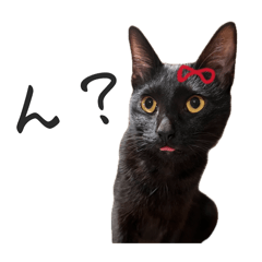 minori_20260425013533