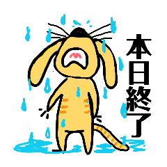 kitty pup4